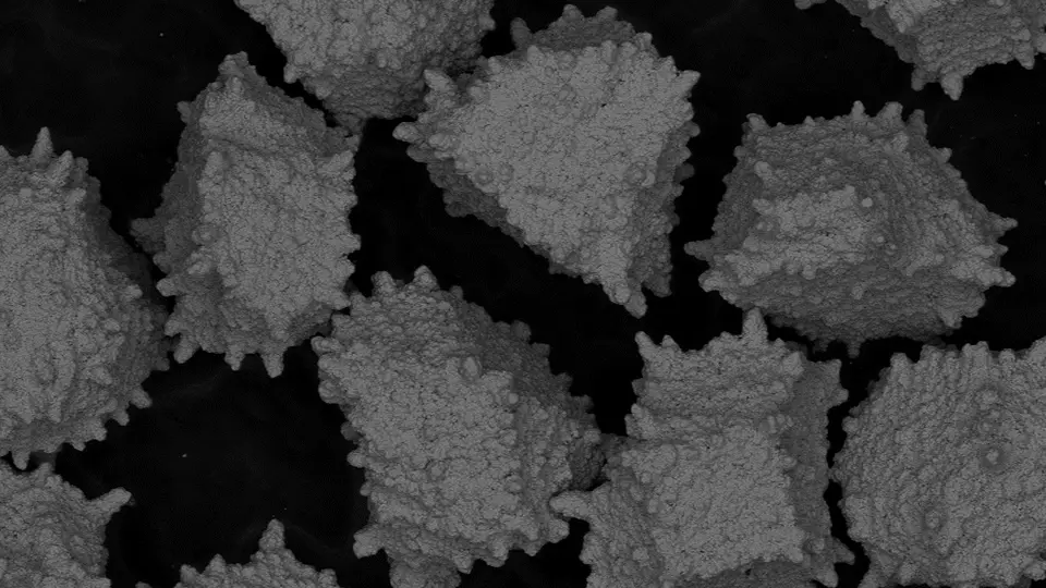 Coated Diamonds / CBN